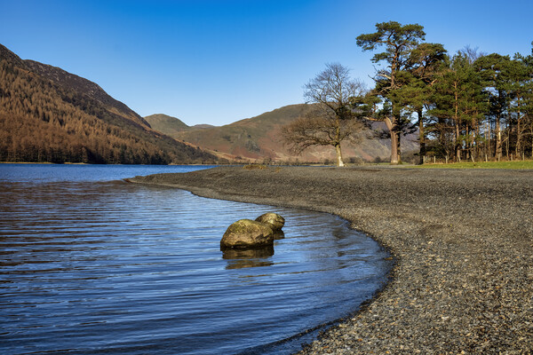 Buttermere Lakeside Picture Board by Tim Hill