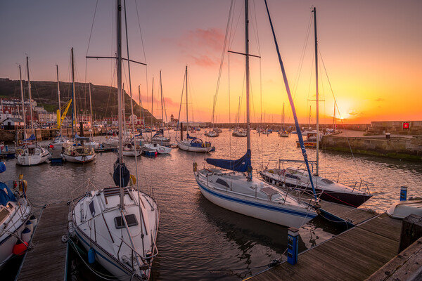 Scarborough Yacht Marina Picture Board by Tim Hill