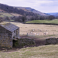 Buy canvas prints of Swaledale Views by Tim Hill