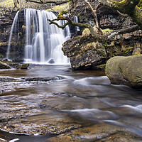 Buy canvas prints of East Gill Force Keld by Tim Hill