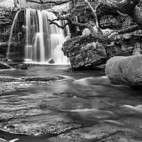Buy canvas prints of East Gill Force Black and White by Tim Hill