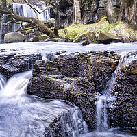 Buy canvas prints of East Gill Force Waterfall  by Tim Hill