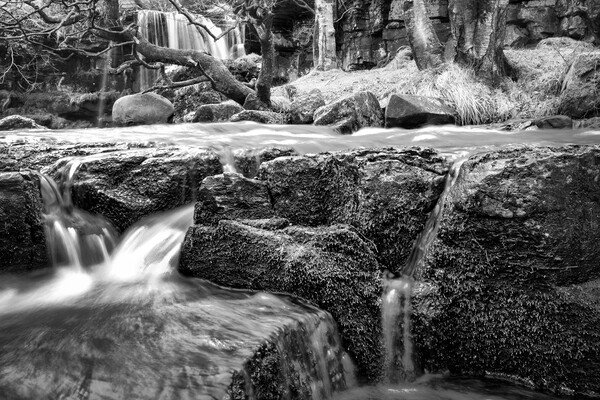 East Gill Force Black and White Picture Board by Tim Hill