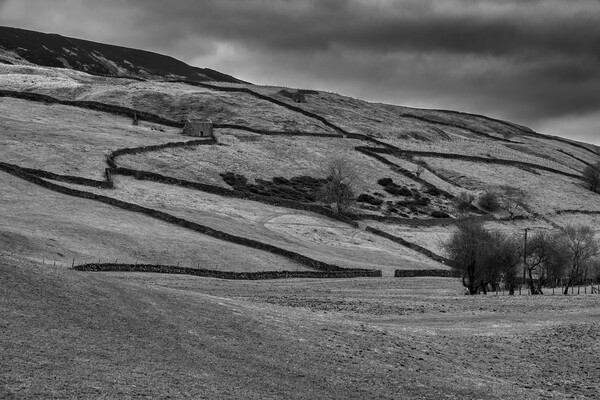 Swaledale Countryside Black and White Picture Board by Tim Hill