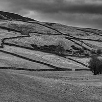 Buy canvas prints of Swaledale Countryside Black and White by Tim Hill