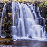 Buy canvas prints of Majestic East Gill Force Waterfall by Tim Hill