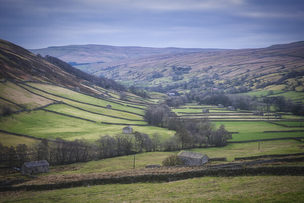 Swaledale Landscape View Picture Board by Tim Hill