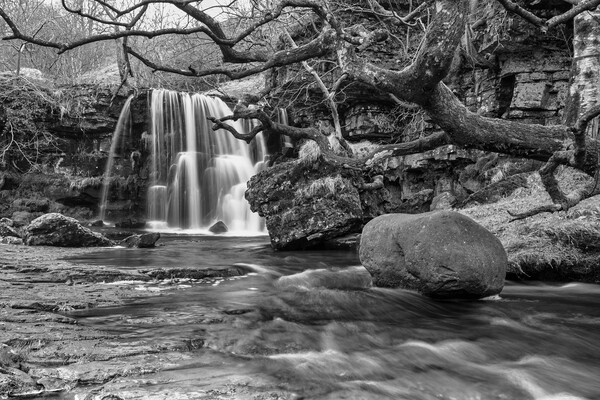 East Gill Force Waterfall, Keld Picture Board by Tim Hill