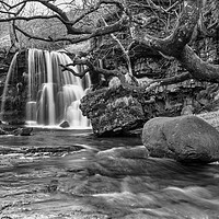 Buy canvas prints of East Gill Force Waterfall, Keld by Tim Hill