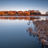 Buy canvas prints of Nostell Top Lake near Wakefield by Tim Hill