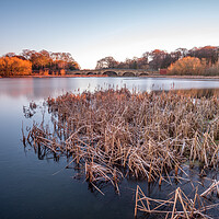 Buy canvas prints of Nostell Top Lake near Wakefield by Tim Hill
