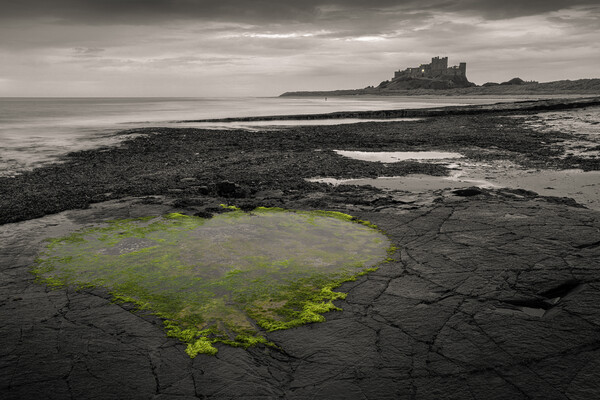 Bamburgh Heart Pool Picture Board by Tim Hill