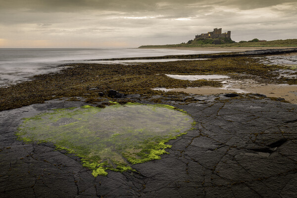 Bamburgh Heart Pool Picture Board by Tim Hill