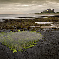 Buy canvas prints of Bamburgh Heart Pool by Tim Hill