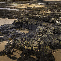 Buy canvas prints of Bamburgh Castle from Harkness rocks by Tim Hill