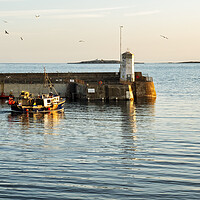 Buy canvas prints of Seahouses Harbour Fishing Boat by Tim Hill