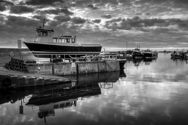 Seahouses Harbour Black and White Picture Board by Tim Hill