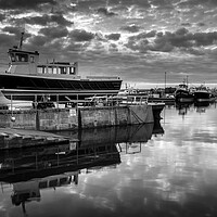 Buy canvas prints of Seahouses Harbour Black and White by Tim Hill