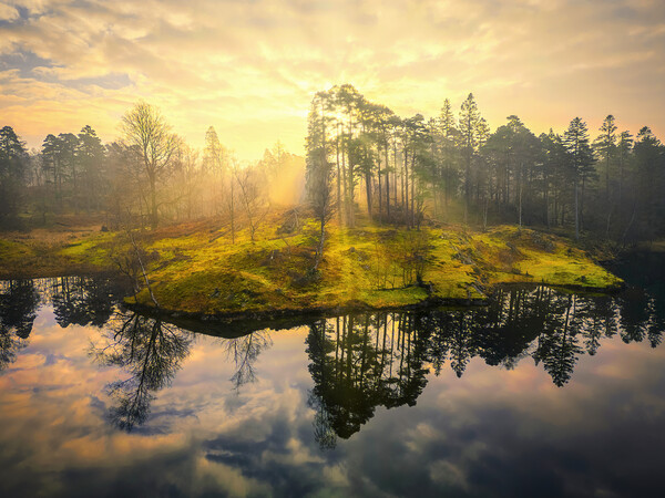Misty Sunrise at Tarn Hows Picture Board by Tim Hill
