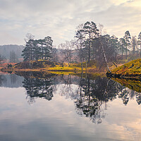 Buy canvas prints of Tarn Hows Lake District by Tim Hill