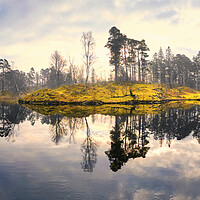 Buy canvas prints of Misty Reflections at Tarn Hows by Tim Hill