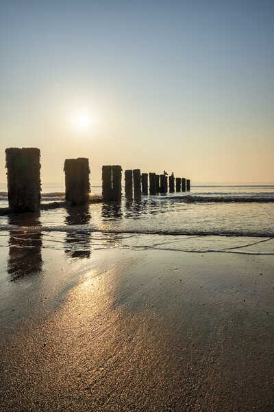 Sunrise Shadows on the Yorkshire Coast Picture Board by Tim Hill