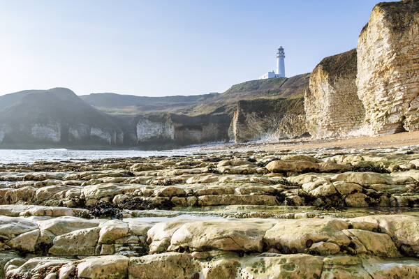 Majestic Lighthouse on Chalk Cliffs Picture Board by Tim Hill