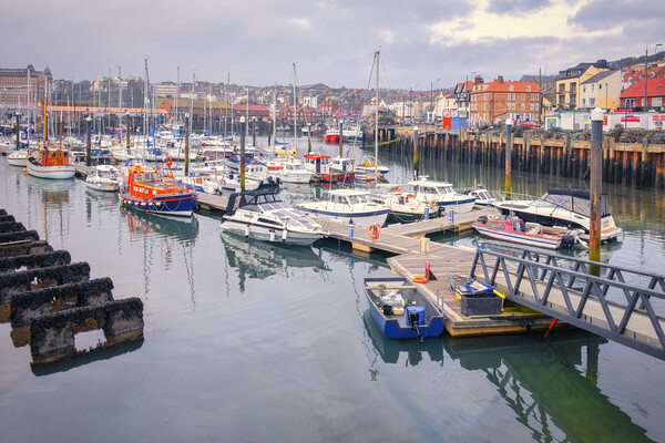Scarborough Harbour Yorkshire Coast Picture Board by Tim Hill