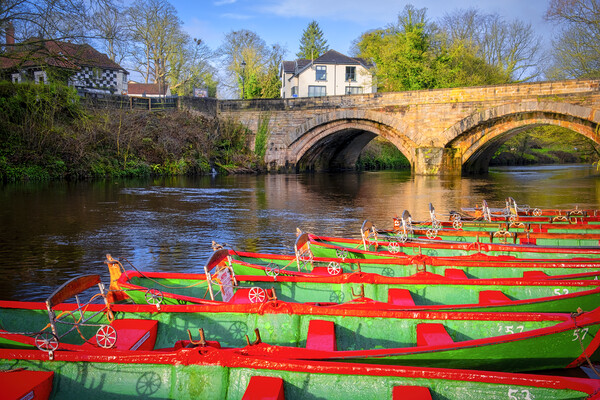 Knaresborough Rowing Boats Picture Board by Tim Hill