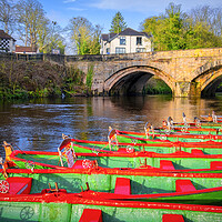 Buy canvas prints of Knaresborough Rowing Boats by Tim Hill