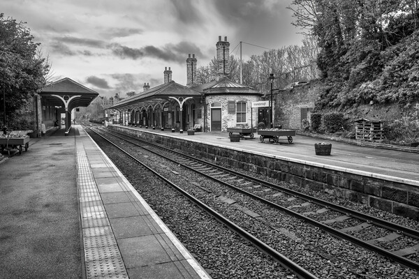 Knaresborough Railway Station Picture Board by Tim Hill