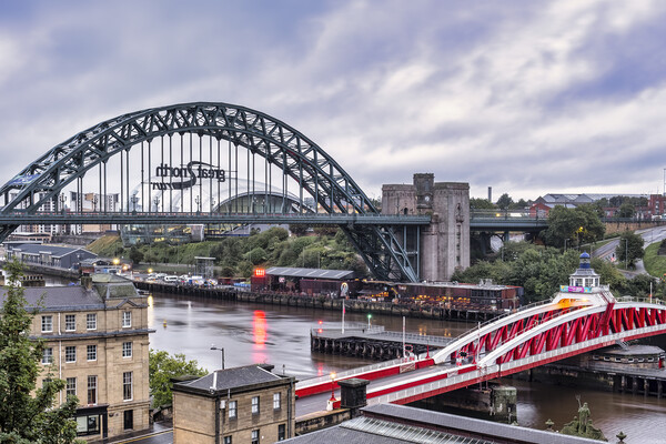 The Majestic Bridges of Newcastle Picture Board by Tim Hill