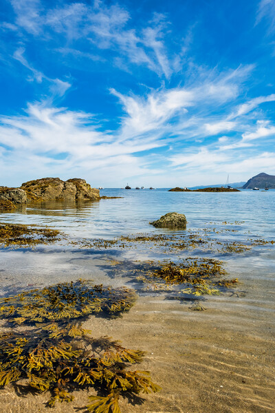 The Enchanting Beauty of Porthdinllaen Bay Picture Board by Tim Hill