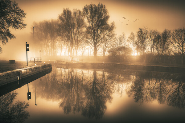 Ethereal mist over Yorkshire canal Picture Board by Tim Hill