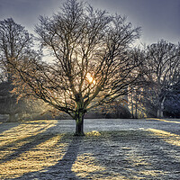 Buy canvas prints of Winter Sun Rays at Wakefield by Tim Hill