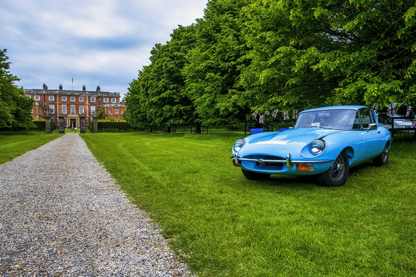The Mighty EType Jaguar Picture Board by Tim Hill