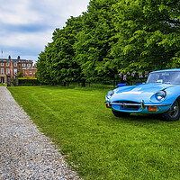 Buy canvas prints of The Mighty EType Jaguar by Tim Hill