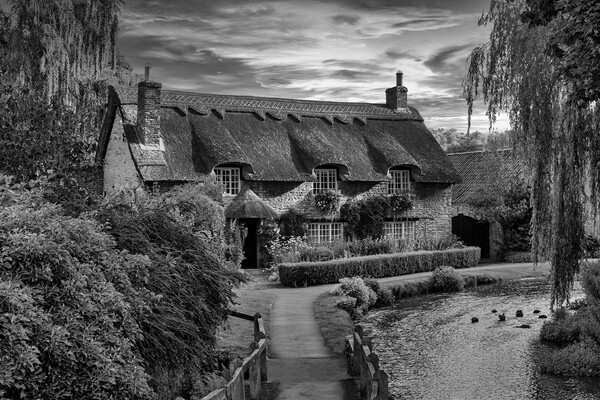 Enchanting English Thatched Cottage Picture Board by Tim Hill