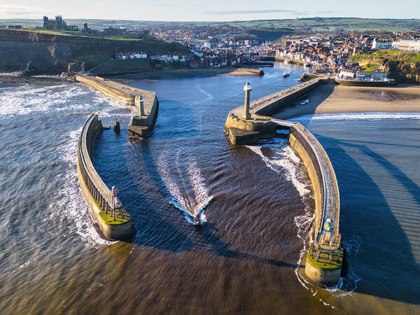 Boat leaves Whitby Harbour Picture Board by Tim Hill