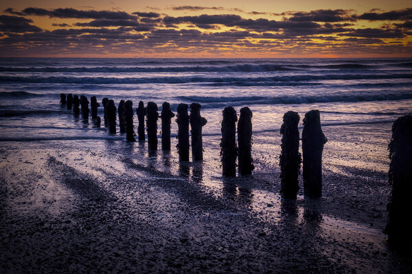 Beautiful Sunrise at Sandsend Beach Picture Board by Tim Hill
