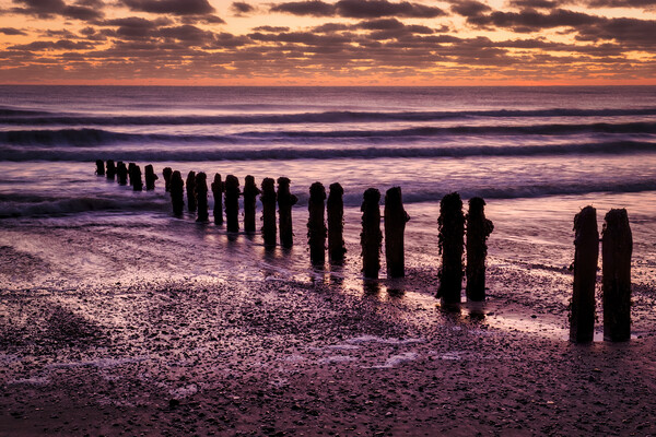 Serenity at Sandsend Picture Board by Tim Hill