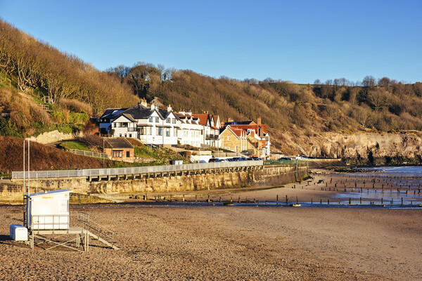 Golden Hour on Sandsend Beach Picture Board by Tim Hill