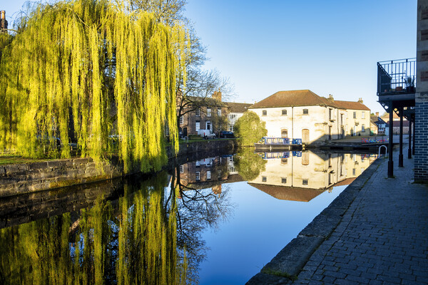 Ripon Canal Reflections, North Yorkshire Picture Board by Tim Hill