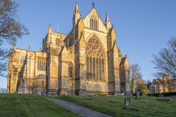Serene Sunrise at Ripon Cathedral Picture Board by Tim Hill