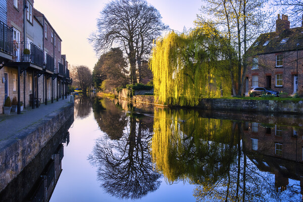 Tranquil Canal Waters Reflect Ripons Scenic Beauty Picture Board by Tim Hill