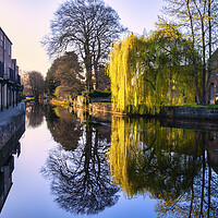 Buy canvas prints of Tranquil Canal Waters Reflect Ripons Scenic Beauty by Tim Hill