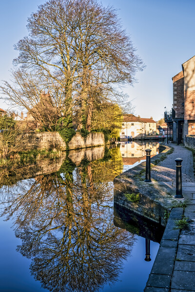 Serenity on Ripon Canal Picture Board by Tim Hill