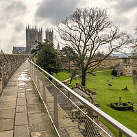 Buy canvas prints of Lincoln Cathedral from Lincoln Castle walls by Tim Hill