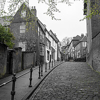 Buy canvas prints of Lincolns Historic Steep Hill A Green Contrast by Tim Hill