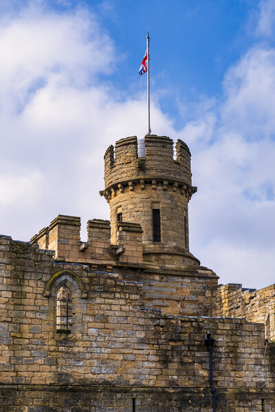 Lincoln Castle Walls Picture Board by Tim Hill